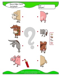 Resmi Diğer Yarısı ile Eşleştir Çalışma Sayfaları
